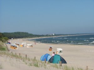 phoca thumb m strand 1